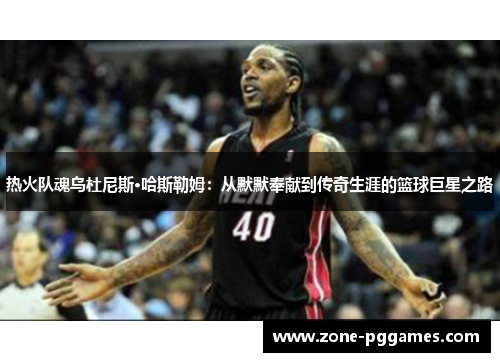 热火队魂乌杜尼斯·哈斯勒姆：从默默奉献到传奇生涯的篮球巨星之路
