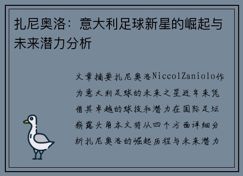 扎尼奥洛：意大利足球新星的崛起与未来潜力分析