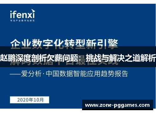 赵鹏深度剖析欠薪问题：挑战与解决之道解析