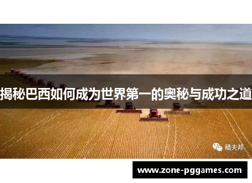 揭秘巴西如何成为世界第一的奥秘与成功之道
